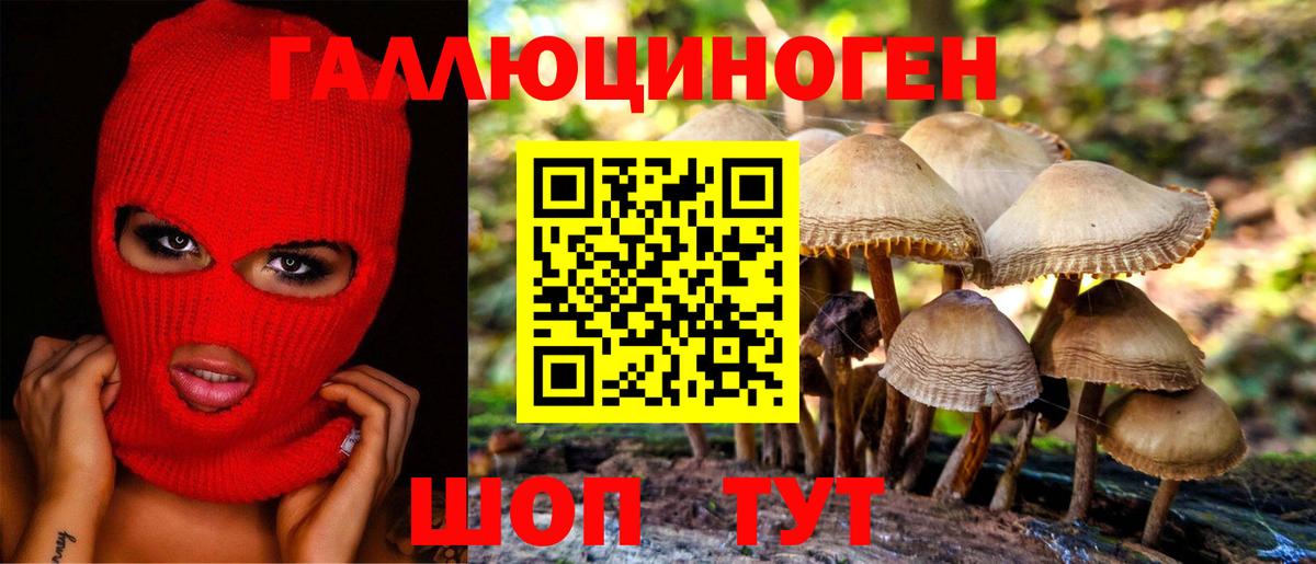 ГАШ Шатура